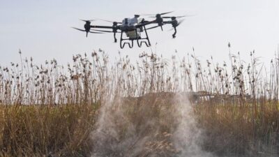 İzmir Büyükşehir Belediyesi, kent genelinde sivrisinek başta olmak üzere hastalık