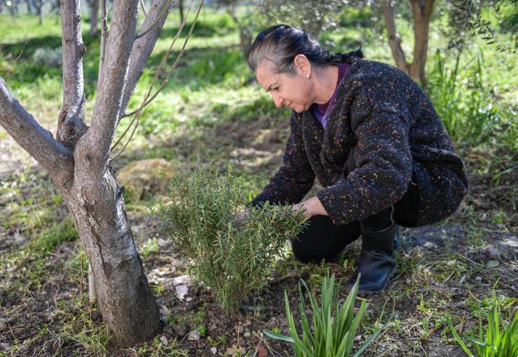 İzmir Büyükşehir Belediyesi Meslek Fabrikası’nın Tıbbi Aromatik Bitki Yetiştiriciliği kursuna