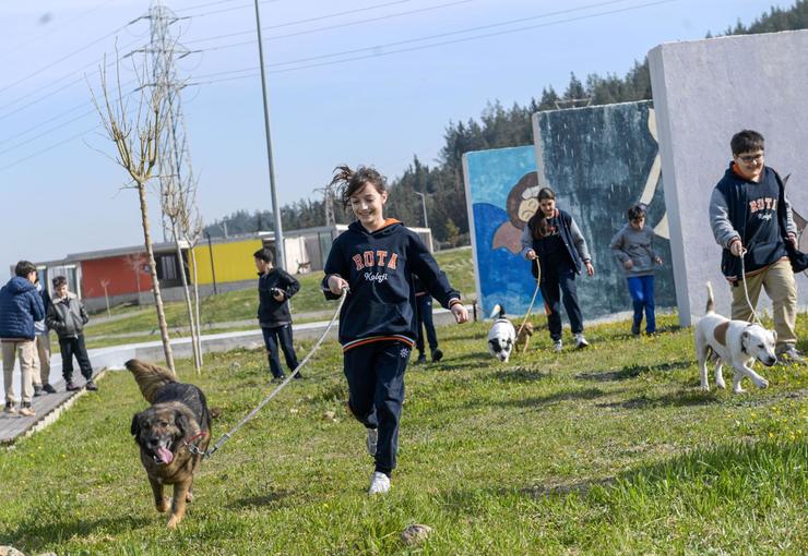 İzmir Büyükşehir Belediyesi, bakımevlerinde bulunan sahipsiz hayvanların sıcak bir yuvaya