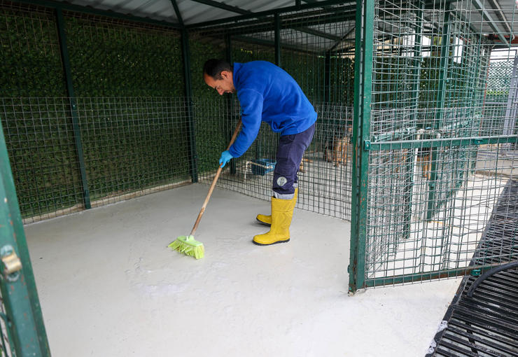 Buca Belediyesi Sokak Hayvanları Rehabilitasyon Merkezi’ndeki can dostlar, her güne