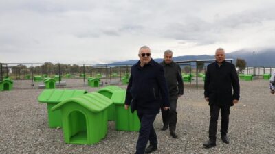 Edremit Belediyesi, sokak hayvanlarının yaşam kalitesini artırmak amacıyla hayata geçirdiği