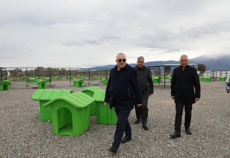 Edremit Belediyesi, sokak hayvanlarının yaşam kalitesini artırmak amacıyla hayata geçirdiği